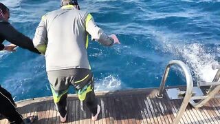 Fishing Egypt 2020: морская рыбалка в Египте лодка пустыня и горячее Красное море вокруг
