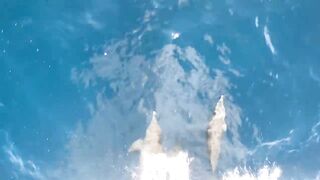 Fishing Egypt 2020: морская рыбалка в Египте лодка пустыня и горячее Красное море вокруг