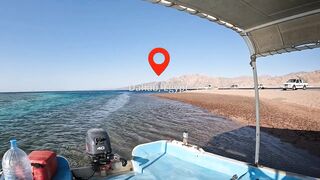 Мультисписовая рыбалка в египетской пустыне каналы озера и неожиданная жизнь в середине песков