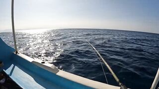 Мультисписовая рыбалка в египетской пустыне каналы озера и неожиданная жизнь в середине песков