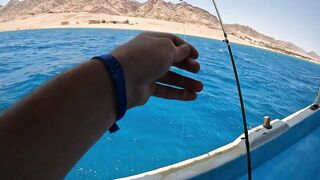 Мультисписовая рыбалка в египетской пустыне каналы озера и неожиданная жизнь в середине песков