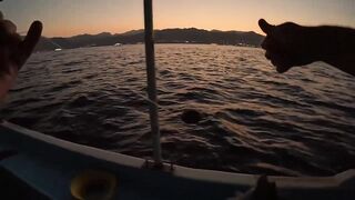 Мультисписовая рыбалка в египетской пустыне каналы озера и неожиданная жизнь в середине песков