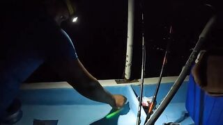 Мультисписовая рыбалка в египетской пустыне каналы озера и неожиданная жизнь в середине песков