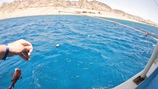 Мультисписовая рыбалка в египетской пустыне каналы озера и неожиданная жизнь в середине песков