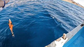 Мультисписовая рыбалка в египетской пустыне каналы озера и неожиданная жизнь в середине песков