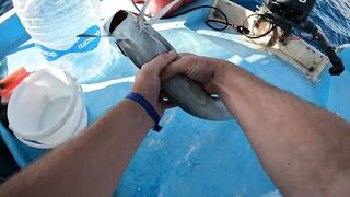 Мультисписовая рыбалка в египетской пустыне каналы озера и неожиданная жизнь в середине песков