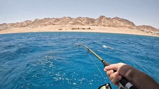 Мультисписовая рыбалка в египетской пустыне каналы озера и неожиданная жизнь в середине песков