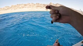 Мультисписовая рыбалка в египетской пустыне каналы озера и неожиданная жизнь в середине песков