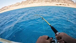 Мультисписовая рыбалка в египетской пустыне каналы озера и неожиданная жизнь в середине песков