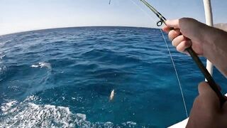 Мультисписовая рыбалка в египетской пустыне каналы озера и неожиданная жизнь в середине песков