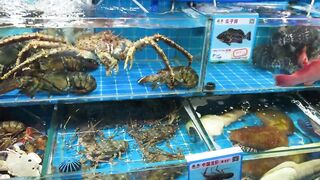 Прогулка по Sanya рынок морепродуктов на Хайнане как местные рыбаки продают свежий улов после ночной рыбалки