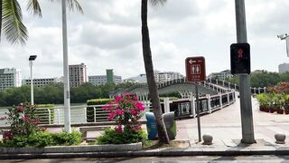 Прогулка по Sanya рынок морепродуктов на Хайнане как местные рыбаки продают свежий улов после ночной рыбалки