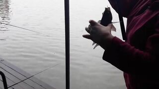 Хайнань на рыбалке выход в море у Sanya и знакомство с китайским тропическим побережьем