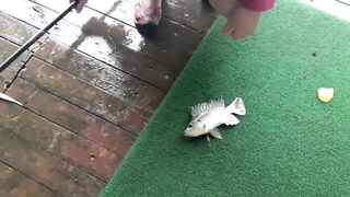 Хайнань на рыбалке выход в море у Sanya и знакомство с китайским тропическим побережьем