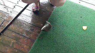 Хайнань на рыбалке выход в море у Sanya и знакомство с китайским тропическим побережьем