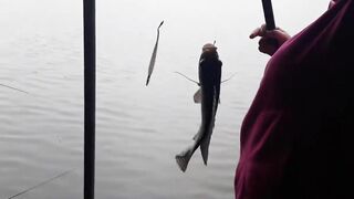 Хайнань на рыбалке выход в море у Sanya и знакомство с китайским тропическим побережьем