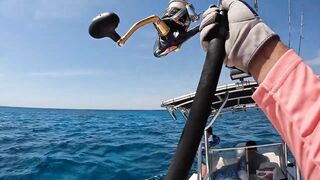 GT popping в Хургаде мощные поклевки и морская рыбалка на гигантского тревалли в Красном море