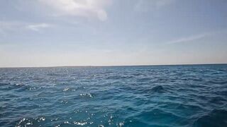 GT popping в Хургаде мощные поклевки и морская рыбалка на гигантского тревалли в Красном море