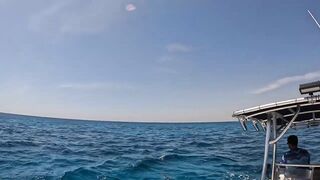 GT popping в Хургаде мощные поклевки и морская рыбалка на гигантского тревалли в Красном море