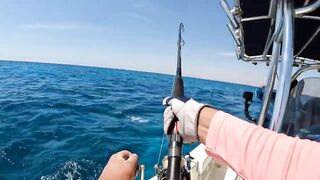 GT popping в Хургаде мощные поклевки и морская рыбалка на гигантского тревалли в Красном море