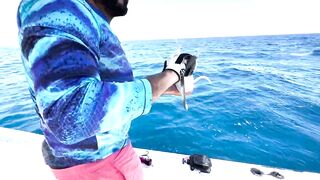 GT popping в Хургаде мощные поклевки и морская рыбалка на гигантского тревалли в Красном море