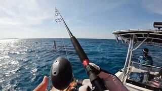 GT popping в Хургаде мощные поклевки и морская рыбалка на гигантского тревалли в Красном море