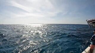 GT popping в Хургаде мощные поклевки и морская рыбалка на гигантского тревалли в Красном море