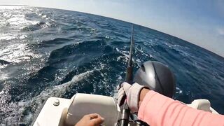 GT popping в Хургаде мощные поклевки и морская рыбалка на гигантского тревалли в Красном море