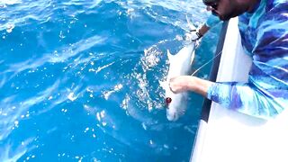 GT popping в Хургаде мощные поклевки и морская рыбалка на гигантского тревалли в Красном море
