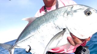 GT popping в Хургаде мощные поклевки и морская рыбалка на гигантского тревалли в Красном море