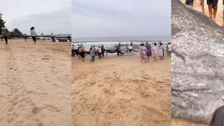 Как до сих пор ловят рыбу в Китае на пляжах у пятизвездочных отелей