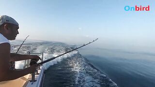 Big game trolling Phu Quoc морская рыбалка в глубине моря чартер Rods and Reels