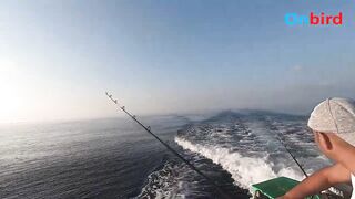 Big game trolling Phu Quoc морская рыбалка в глубине моря чартер Rods and Reels