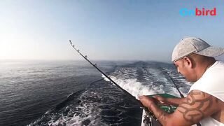 Big game trolling Phu Quoc морская рыбалка в глубине моря чартер Rods and Reels