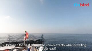 Big game trolling Phu Quoc морская рыбалка в глубине моря чартер Rods and Reels