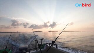 Big game trolling Phu Quoc морская рыбалка в глубине моря чартер Rods and Reels