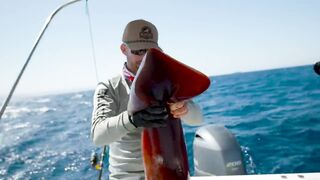 Рыбалка с огромным кальмаром в роли наживки охота за еще более крупным хищником