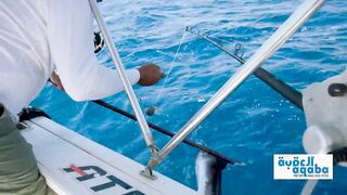 Рыбалка с огромным кальмаром в роли наживки охота за еще более крупным хищником