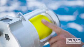 Рыбалка с огромным кальмаром в роли наживки охота за еще более крупным хищником