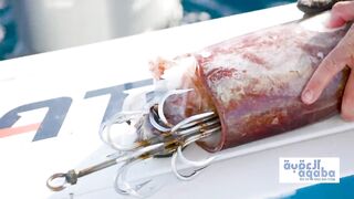 Рыбалка с огромным кальмаром в роли наживки охота за еще более крупным хищником