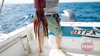 Рыбалка с огромным кальмаром в роли наживки охота за еще более крупным хищником