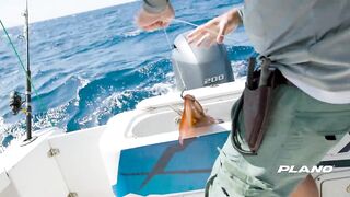 Рыбалка с огромным кальмаром в роли наживки охота за еще более крупным хищником