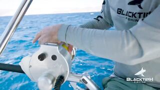 Рыбалка с огромным кальмаром в роли наживки охота за еще более крупным хищником