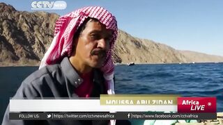 Египетские рыбаки продолжают ловить и зарабатывать несмотря на падение туристического потока