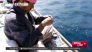 Египетские рыбаки продолжают ловить и зарабатывать несмотря на падение туристического потока