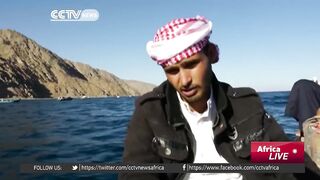 Египетские рыбаки продолжают ловить и зарабатывать несмотря на падение туристического потока