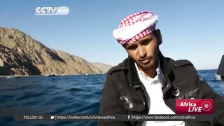 Египетские рыбаки продолжают ловить и зарабатывать несмотря на падение туристического потока