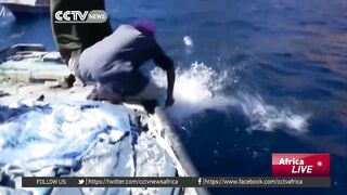 Египетские рыбаки продолжают ловить и зарабатывать несмотря на падение туристического потока