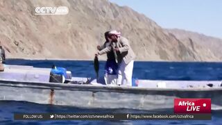 Египетские рыбаки продолжают ловить и зарабатывать несмотря на падение туристического потока