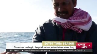 Египетские рыбаки продолжают ловить и зарабатывать несмотря на падение туристического потока